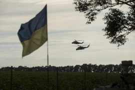 Ukraine: Lực lượng ly khai bắn rơi máy bay tại Lugansk và Donetsk 