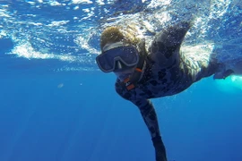 Thủ tướng Australia: Tín hiệu hộp đen là của MH370