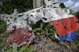 RIA: Báo cáo của Hà Lan cho thấy MH17 bị bắn bằng đạn súng
