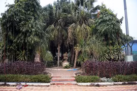 Có 8 nghi phạm trẻ đã hiếp dâm nữ du khách Đan Mạch