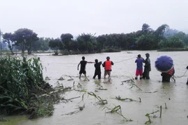 Hà Tĩnh: Một người tử vong do bị sét đánh trên đường vắng