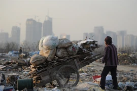 An ninh lương thực của Trung Quốc đang bị đe dọa nghiêm trọng