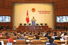 Quốc hội họp phiên toàn thể tại hội trường để biểu quyết thông qua Bộ luật Lao động (sửa đổi). (Ảnh: TTXVN)