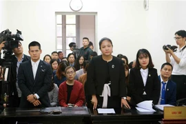 Nguyên đơn là Công ty CP Tuần Châu Hà Nội (Tuần Châu Hà Nội) và bị đơn là Công ty CP Đầu tư Tổng hợp Truyền thông DS (DS) do đạo diễn Việt Tú (đứng thứ nhất bên trái). (Ảnh: Doãn Tấn/TTXVN)
