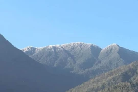 (Ảnh: TTXVN phát)