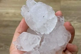 (Ảnh minh họa: Quốc Đạt/TTXVN)