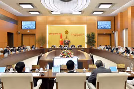 Quang cảnh Phiên họp. (Ảnh: Trọng Đức/TTXVN)