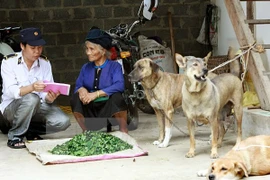 Nhân viên thú y hướng dẫn người dân khi nuôi chó, mèo cần tiêm phòng đầy đủ. (Ảnh: TTXVN)