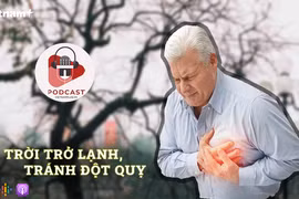 (Nguồn: Vietnam+)