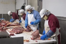 Xẻ thịt bò tại một công ty thực phẩm ở Rigby, Idaho, Mỹ, ngày 26/5/2020. (Ảnh: AFP/ TTXVN)