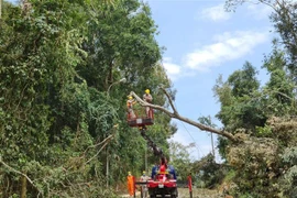 (Ảnh minh họa: TTXVN phát)