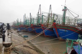 Tàu thuyền về neo đậu tránh trú bão tại khu cảng cá Lạch Quèn, huyện Quỳnh Lưu (Nghệ An). (Ảnh: Tá Chuyên/TTXVN)