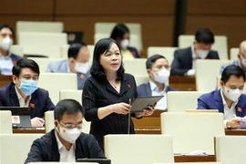 Đại biểu Quốc hội tỉnh Đồng Tháp Nguyễn Thị Mai Hoa phát biểu. (Ảnh: Phạm Kiên/TTXVN)