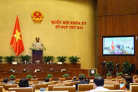 Đại biểu Quốc hội thảo luận trực tuyến về dự án Luật sửa đổi, bổ sung một số điều của Luật Thống kê. (Ảnh: Văn Điệp/TTXVN)