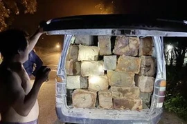 Xe 16 chỗ chở theo 25 khúc gỗ không rõ nguồn gốc bị bắt giữ. (Ảnh: TTXVN phát)