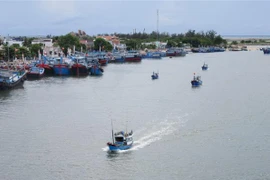 Tàu cá của ngư dân khẩn trương vào neo đậu tại khu vực cảng Ninh Chữ (huyện Ninh Hải, Ninh Thuận) để tránh áp thấp nhiệt đới có khả năng mạnh lên thành bão. (Ảnh: Nguyễn Thành/TTXVN)