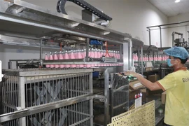 Doanh nghiệp Bến Tre sản xuất "3 tại chỗ" dễ phục hồi hoạt động trở lại sau tình hình dịch bệnh diễn ra căng thẳng. (Ảnh: Huỳnh Phúc Hậu/TTXVN)