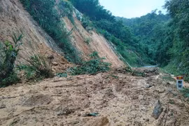 (Ảnh minh họa: TTXVN phát)