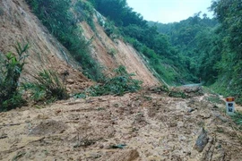 (Ảnh minh họa: TTXVN phát)