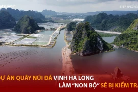 Dự án quây núi đá vịnh Hạ Long làm 'hòn non bộ' sẽ bị kiểm tra