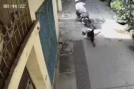 [Video] Hà Nội: Tên cướp táo tợn giật dây chuyền của người đi bộ 