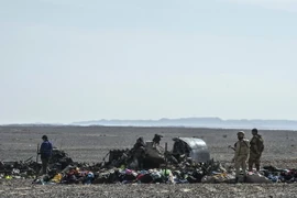 Mảnh vỡ máy bay Nga tại Wadi al-Zolomat, bán đảo Sinai, Ai Cập ngày 1/11. (Nguồn: AFP/TTXVN)