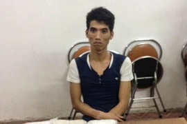 (Ảnh: Nguyễn Hoàng/Vietnam+)