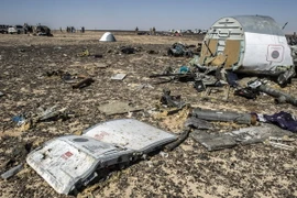 Những mảnh vỡ của máy bay A321 được tìm thấy tại Wadi el-Zolmat, vùng núi thuộc bán đảo Sinai ngày 1/11. (Nguồn: AFP/TTXVN)
