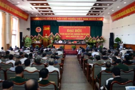 Toàn cảnh Đại hội. (Ảnh: Hưng Thịnh/TTXVN)