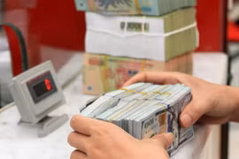 Giao dịch ngoại tệ tại Ngân hàng TMCP Phát triển Thành phố Hồ Chí Minh (HDBank) chi nhánh Hà Nội (ảnh tư liệu). (Ảnh: Trần Việt/TTXVN)