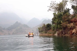 (Ảnh minh họa: Hữu Quyết-Công Lập/TTXVN)