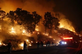 Lực lượng cứu hỏa nỗ lực khống chế các đám cháy rừng ở Valley Fire, California Mỹ ngày 13/9. (Nguồn: AFP/TTXVN)