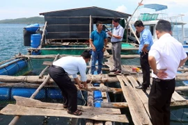 Mô hình nuôi cá lồng bè trên biển đem lại lợi nhuận cao cho ngư dân xã Hòn Thơm, huyện Phú Quốc. (Ảnh: Lê Sen/TTXVN)