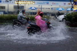 (Ảnh minh họa: Trần Lê Lâm/TTXVN)