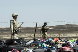 Hiện trường vụ rơi máy bay ở Wadi el-Zolmat, bán đảo Sinai ngày 1/11. (Nguồn: AFP/TTXVN)