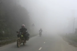 (Ảnh minh họa: Phạm Hậu/TTXVN)