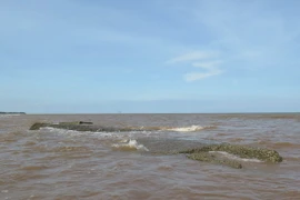 (Ảnh minh họa: Nguyễn Xuân Tiến/TTXVN)