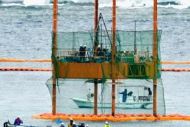 Hoạt động thăm dò dưới biển của Bộ Quốc phòng Nhật Bản ở ngoài khơi quận Nago, tỉnh cực nam Okinawa ngày 12/3. (Nguồn: Kyodo/TTXVN)