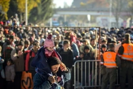 Người di cư tại khu vực biên giới Slovenia-Áo ngày 3/11. (Nguồn: AFP/TTXVN)