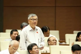 Đại biểu Quốc hội tỉnh Quảng Trị Phạm Đức Châu phát biểu ý kiến. (Ảnh: Phương Hoa/TTXVN)