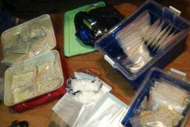 (Ảnh minh họa: TTXVN phát)