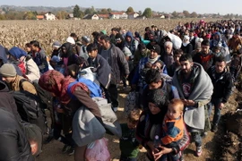 Người di cư di chuyển tới trại tị nạn ở Rigonce, gần biên giới với Croatia ngày 26/10. (Nguồn: AFP/TTXVN)