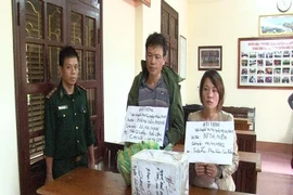 (Ảnh: Hoàng Nam/Vietnam+)