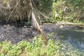 Ảnh minh họa. (Nguồn: binhphuoc.gov.vn)