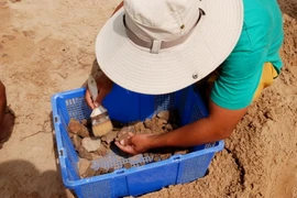 Ảnh minh họa. (Nguồn: TTXVN)