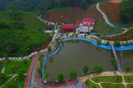 Người đứng tên sở hữu thửa đất này là bà Hoàng Thị Huệ (vợ của ông Phạm Sỹ Quý). (Ảnh: Thế Duyệt/TTXVN phát)