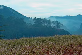(Ảnh: Huy Hùng/TTXVN)