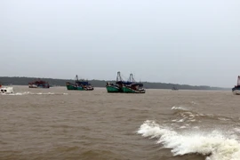 Lực lượng chức năng đường thủy vận động tàu thuyền vào neo đậu trú tránh an toàn hơn. (Ảnh: Trung Hiếu/TTXVN)