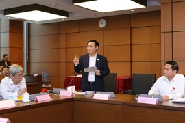 Đại biểu Quốc hội tỉnh Hà Tĩnh Vương Đình Huệ thảo luận ở tổ. (Ảnh: Nguyễn Dân/TTXVN)