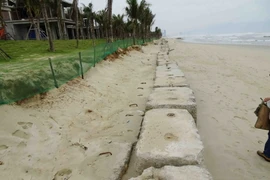 (Ảnh: Trần Lê Lâm/TTXVN)